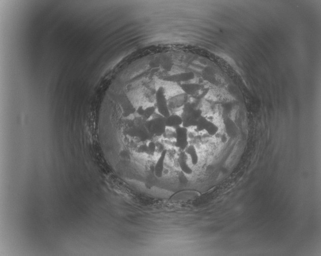 X0000072520871200607290156