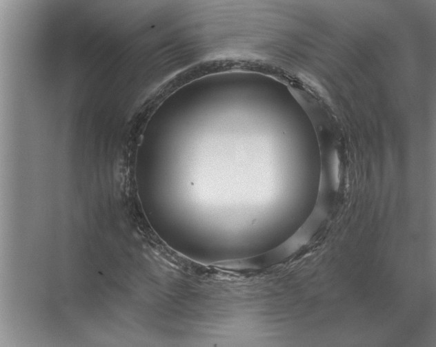 X0000072520872200607290156