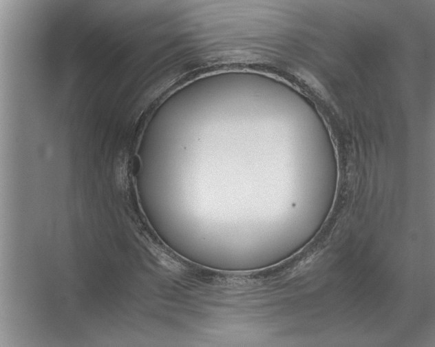 X0000072520873200607290156