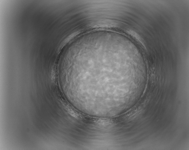 X0000072520874200607290156