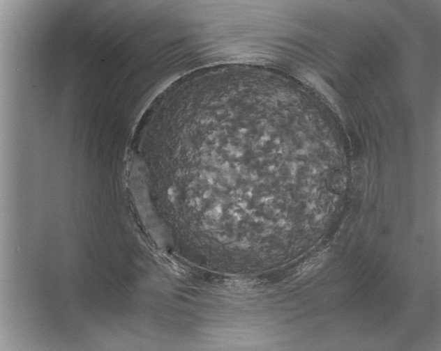 X0000072520875200607290155