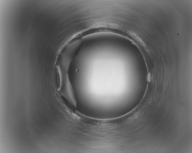 X0000072520877200607290155