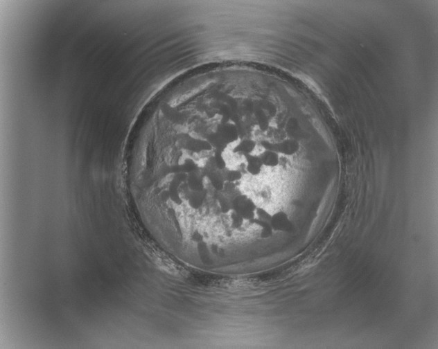 X0000072520879200607290155