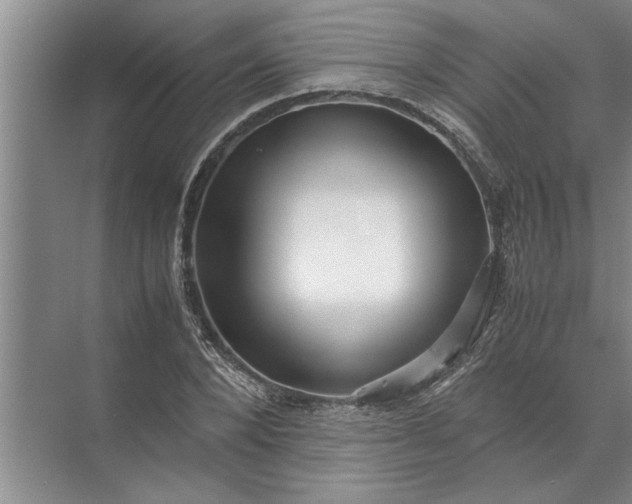 X0000072520880200607290155