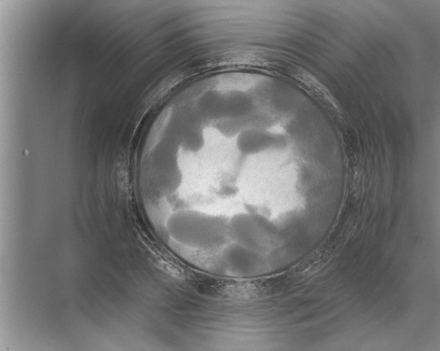 X0000072520882200607290155