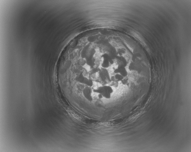 X0000072520883200607290155