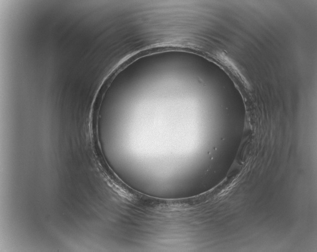 X0000072520884200607290155