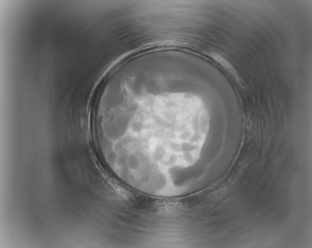 X0000072520886200607290155