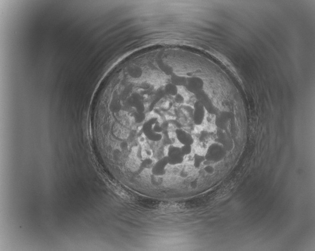 X0000072520887200607290155