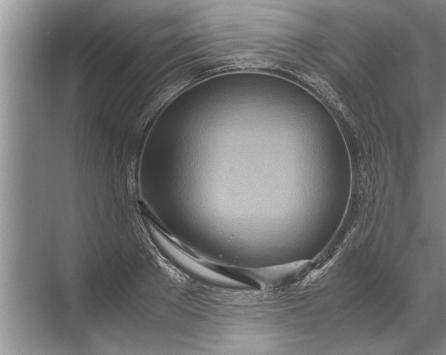 X0000072520889200607290155