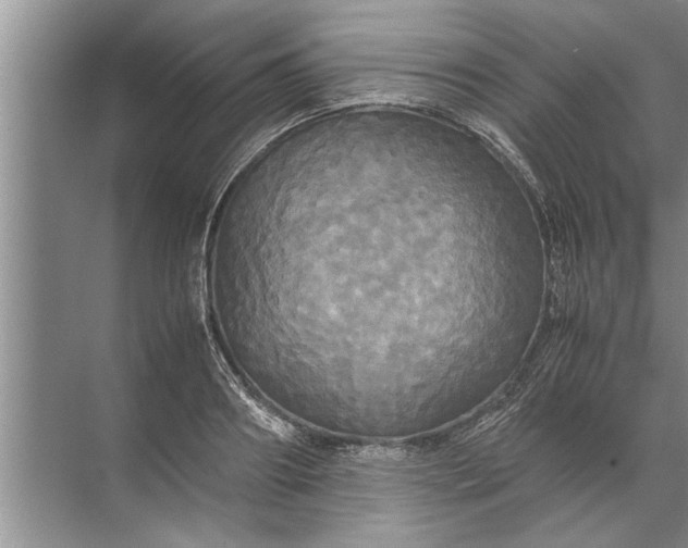 X0000072520890200607290155