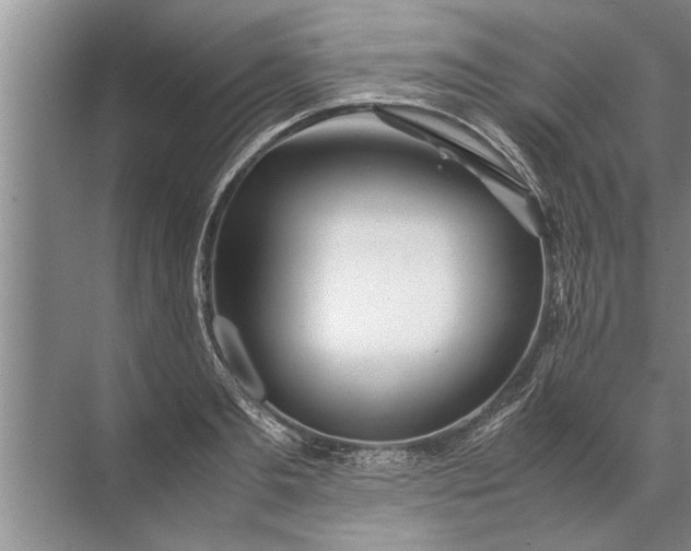 X0000072520893200607290155