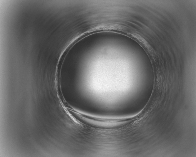 X0000072520894200607290155