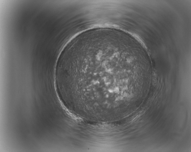 X0000072520895200607290155