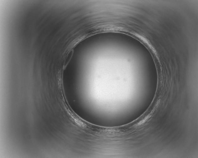 X0000072520897200607290155