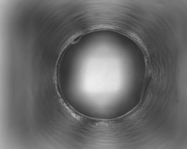 X0000072520898200607290155