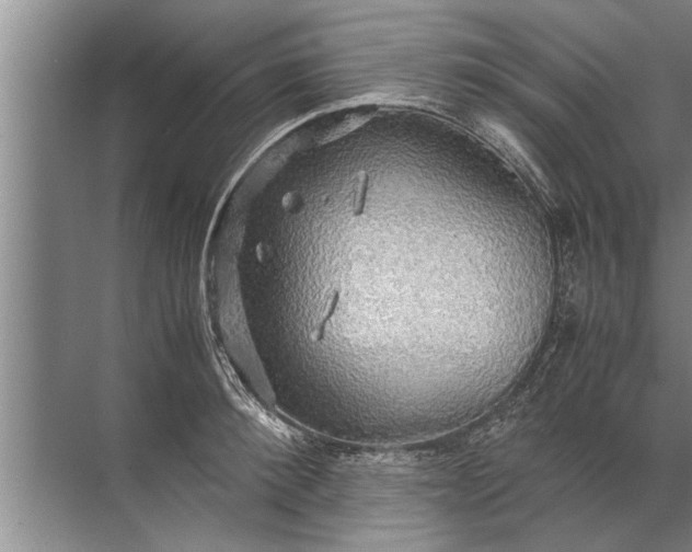 X0000072520900200607290155