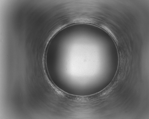 X0000072520901200607290155