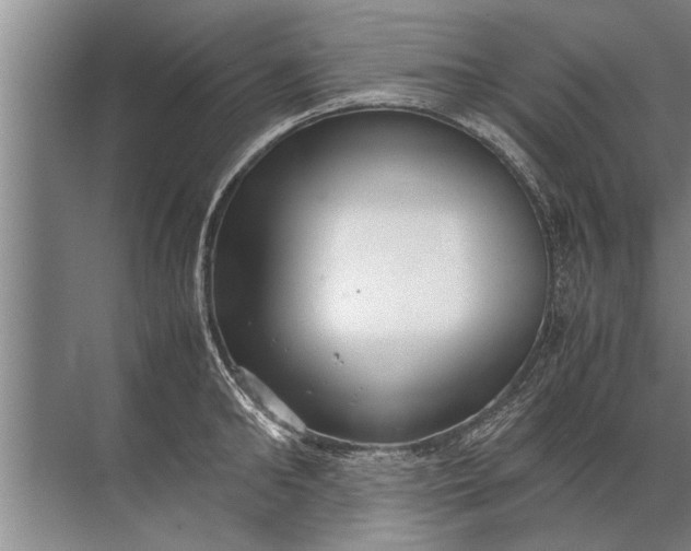 X0000072520902200607290155