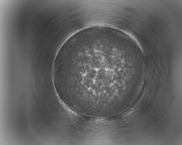 X0000072520903200607290155