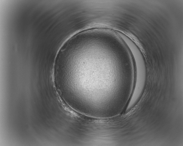 X0000072520904200607290155