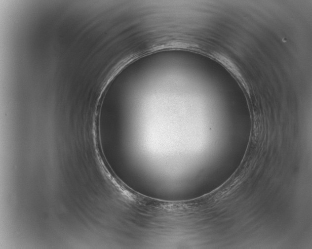 X0000072520906200607290155