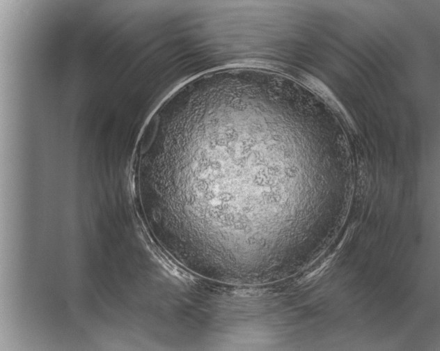 X0000072520908200607290155