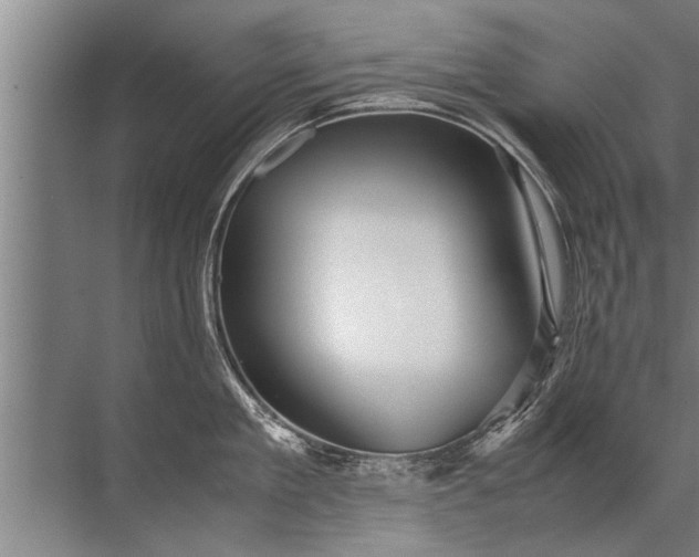 X0000072520909200607290155