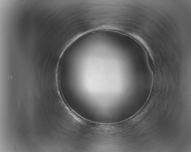 X0000072520910200607290155