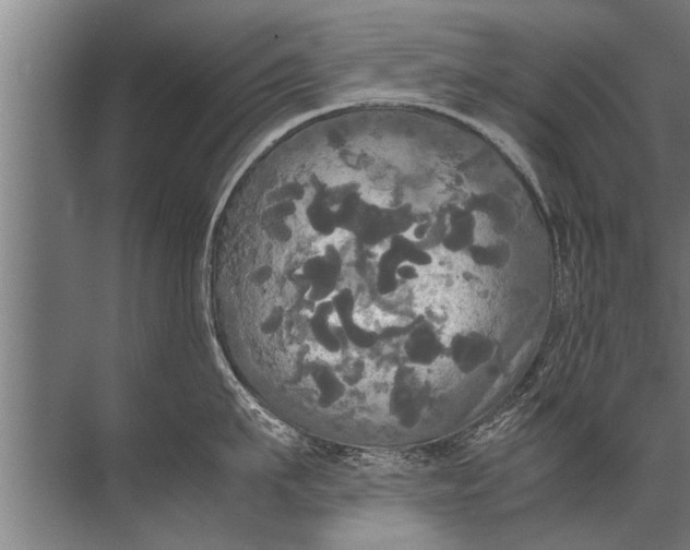 X0000072520911200607290155