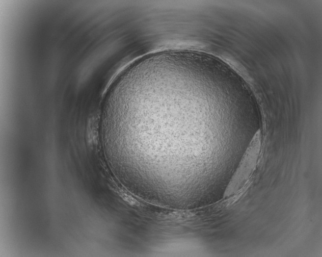 X0000072520912200607290155