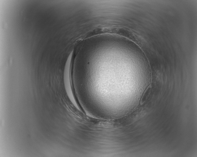 X0000072520914200607290154