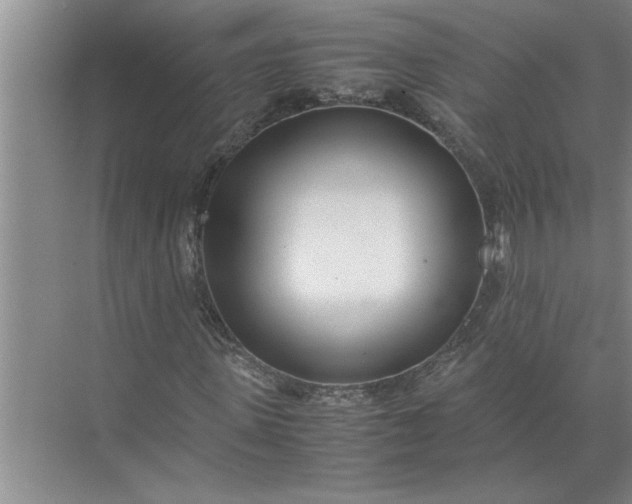 X0000072520915200607290154