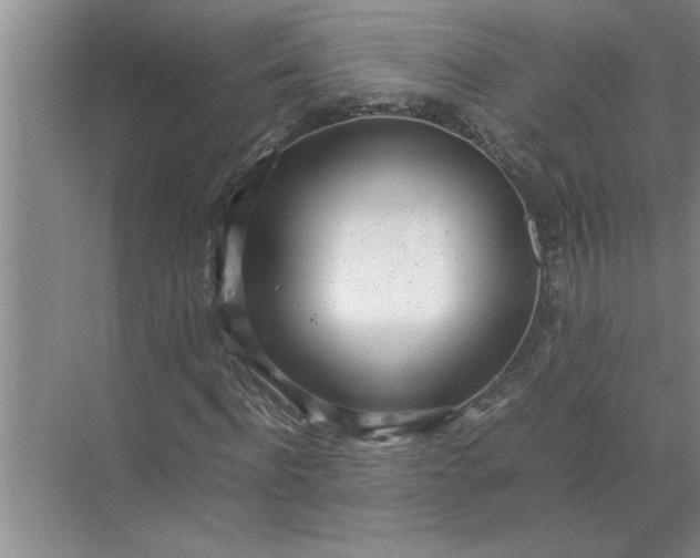 X0000072520916200607290154