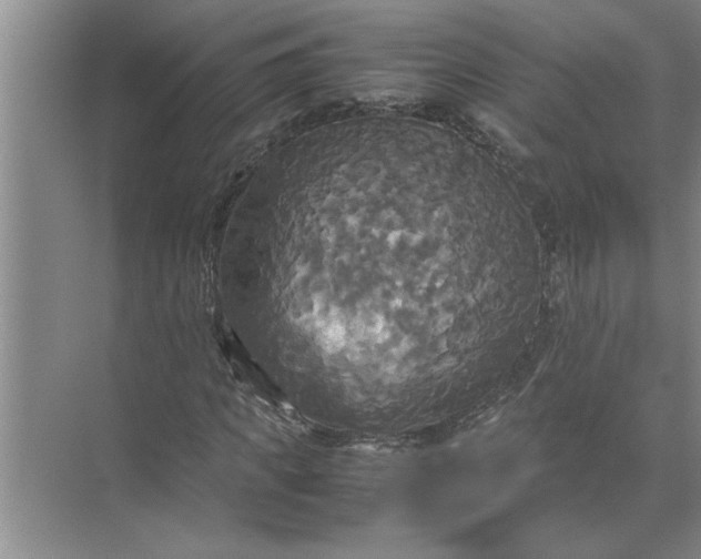 X0000072520917200607290154