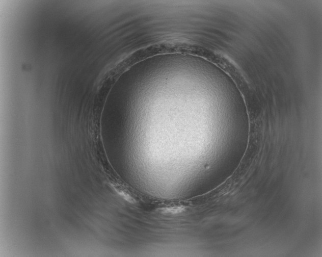 X0000072520919200607290154