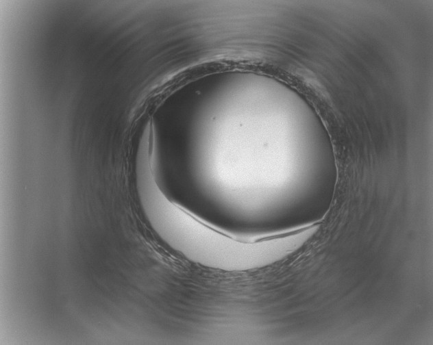 X0000072520920200607290154