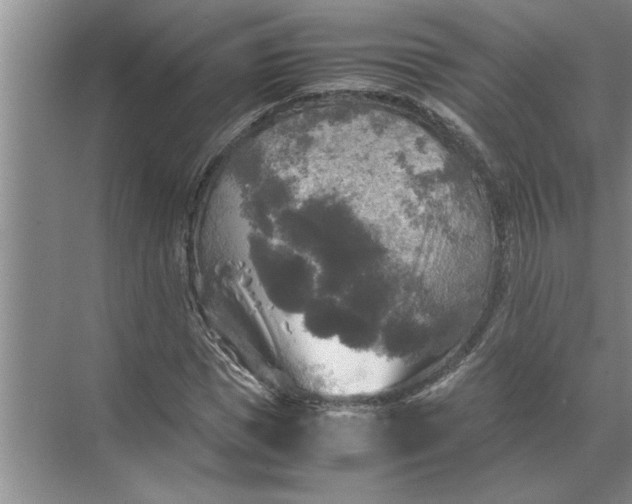 X0000072520921200607290154