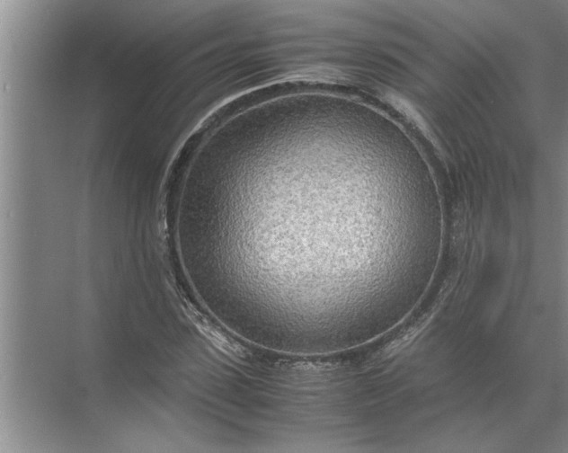 X0000072520923200607290154