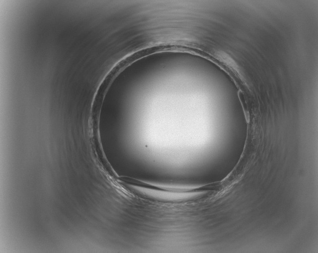 X0000072520924200607290154