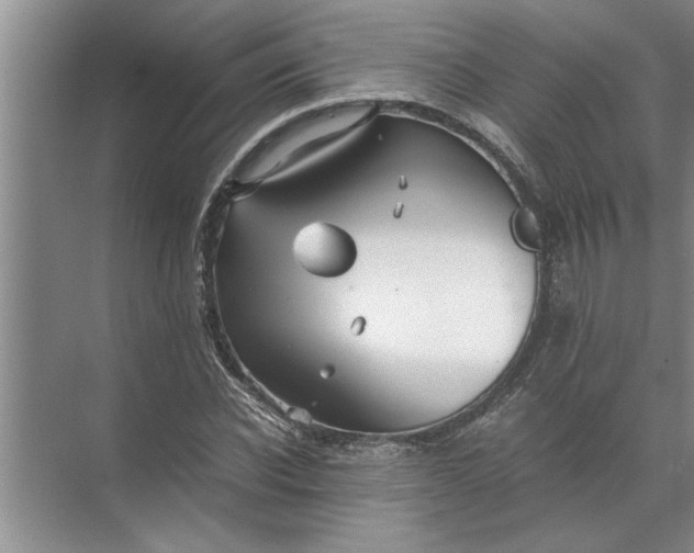 X0000072520926200607290154