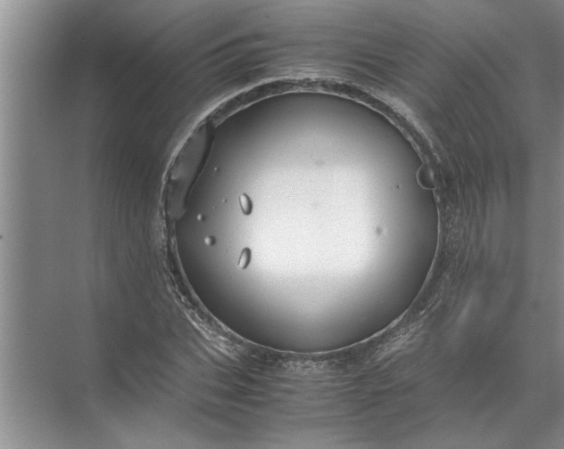 X0000072520927200607290154