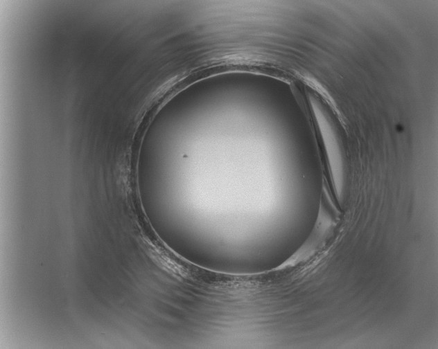 X0000072520930200607290154