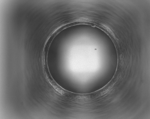 X0000072520931200607290154