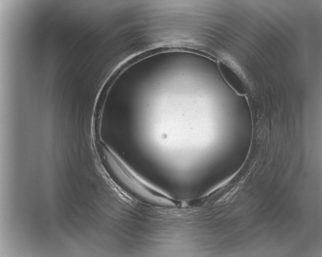 X0000072520932200607290154