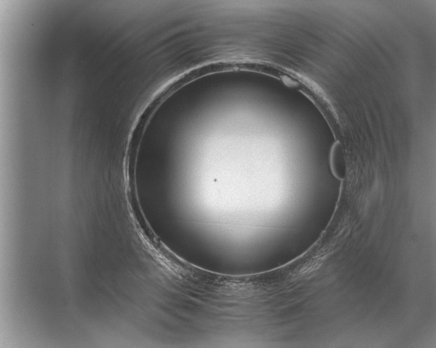 X0000072520935200607290154