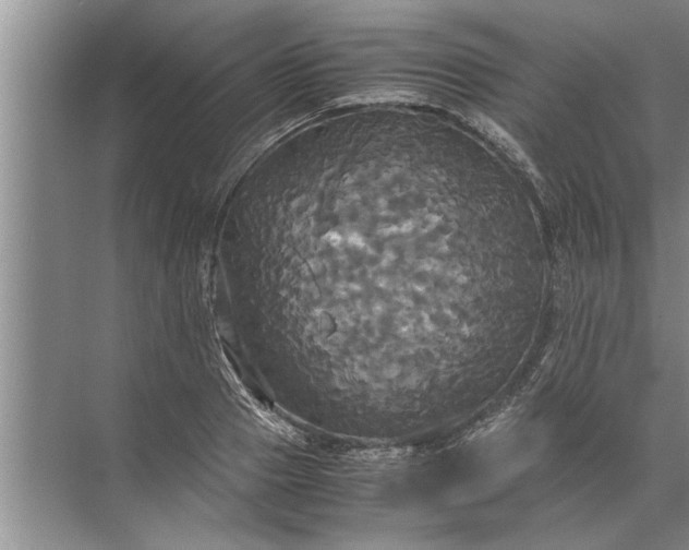 X0000072520937200607290154