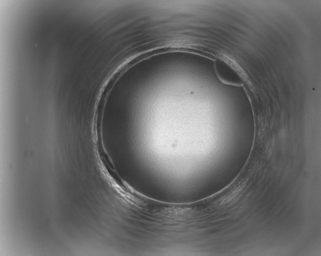 X0000072520939200607290154