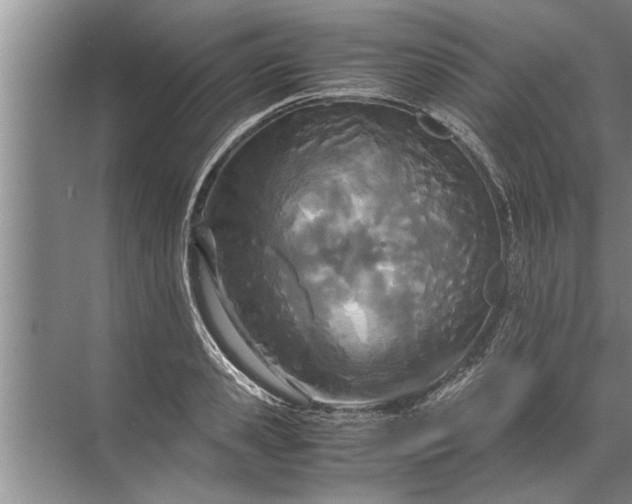 X0000072520941200607290155