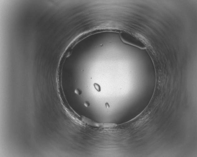 X0000072520942200607290155